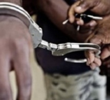 Mbacké : Pour mauvaise gestion d'un poulailler, il tue son condisciple