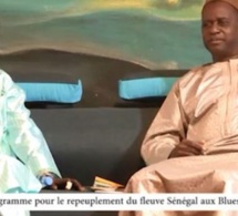 Baba Maal Ambassadeur du PUMA pour le repeuplement du fleuve Sénégal aux Blues du Fleuve