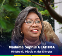 Ministère du Pétrole et des Energies : Le budget 2022 s’élève à 231.953.586.343 FCFA