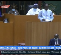 Assemblée nationale : le budget du Ministère des Finances arrêté à plus 334 milliards de F CFA