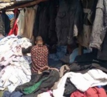  Business du froid : La foire aux bonnes affaires
