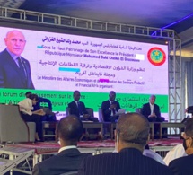 Ouverture de la 4e édition des Financial Afrik Awards à Nouakchott : La Mauritanie « honorée », liste ses opportunités d’investissement