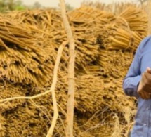 En tournée dans le Saloum: Thierno Bocoum dénonce l'exploitation des paysans par les opérateurs