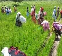 Viabilité de leurs entreprises agricoles: Les producteurs de la Vallée face à l'équation de la gestion financière transparente