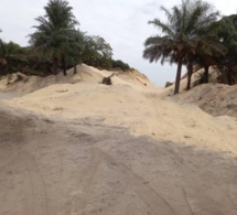 Drame écologique à Kayar: Des dunes de sable rasées (en cours) par des exploitants véreux