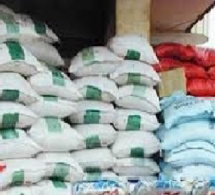 Initiative pour la réduction des importations de riz : Un projet agricole lancé à Fatick