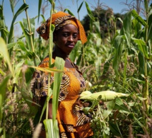 Accès des femmes au foncier : L’Etat sommé par des organisations féminines de renforcer son engagement national et international