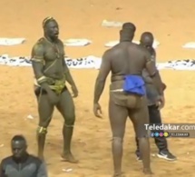 Deuxième défaite de suite: Tapha Tine de Baol bat Boy Niang aux points