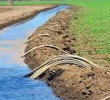 Gestion et maintenance des installations hydro agricoles dans l’Anambé Vers la création de deux fonds