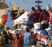 Exploitation gazière et pétrolière : Près de 600 mille acteurs de la pêche menacés