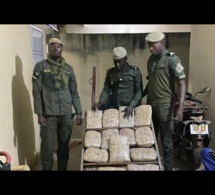 [Vidéo] Nioro : La douane saisit 21 kg de chanvre indien à keur Ayib