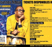 Vidéo - Documentaire sur le parcours de Youssou Ndour, de Bercy à Dakar Aréna ( Diffusion Leral Tv et Tfm )