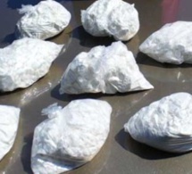 Trois tonnes de cocaïne pure d'une valeur d'un milliard d'euros découvertes dans une cargaison de bananes en Italie