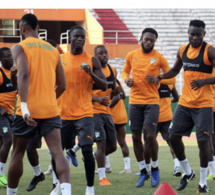 Football : Mauvaise nouvelle pour la Cote d’Ivoire à quelques jours de la Can