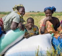 Concours national : Des «idées novatrices» pour l’amélioration des droits des femmes et des filles au Sénégal