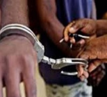 Réseau de faussaires: 5 agents arrêtés à la mairie de Mbacké