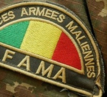 Mali : accrochage entre des jihadistes et des soldats accompagnés d'éléments de Wagner