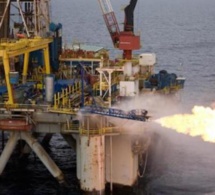Gambie : Après le flop du puit de pétrole Bambo-1, un actionnaire retire ses billes