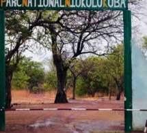 Trois convoyeurs de ciment meurent au cœur du parc de Niokolo Koba