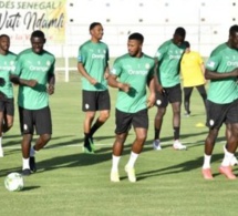 CAN 2022 : 812 millions FCfa de primes pour les Lions