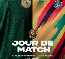 Sénégal – Zimbabwe : les compositions sont tombées