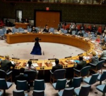 ONU : Un texte de la France pour appuyer l’embargo sur le Mali bloqué par la Russie et la Chine