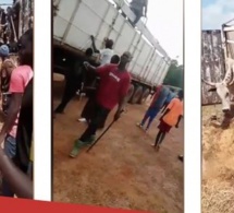 Autoroute à péage : Un bœuf saute d'un camion et provoque un accident spectaculaire