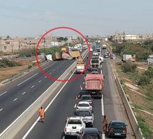 Autoroute à péage/ Pour chargement défectueux: Un transporteur de bœufs attrait à la barre