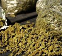 Mbour-Saly : La BR fait tomber 2 dealers avec 10 kg de drogue