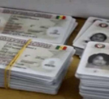 Distribution des cartes d’électeur à Kolda: Un taux de retrait très faible, de 39%, à quelques jours du vote
