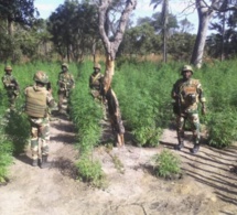 Casamance : L’armée sénégalaise fait une incroyable découverte (Photos)