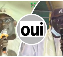 Amadou Guèye À Diouf Sarr : « Au Soir Du 23, Ngor Vous Dira OUI » (VIDEO)