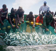 Dures conditions de travail des pécheurs artisanaux en Guinée-Bissau : la validité des licences et la délimitation des pêcheries au centre de leur calvaire