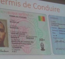 Saint-Louis : Un responsable de Benno détourne des permis de conduire