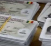 Élections Locales : Près de 700 cartes d’électeurs "volées" dans le département de Tivaouane