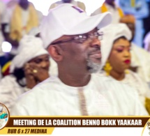 Photos. Revivez En Images Le Meeting De Clôture De Cheikh Ba