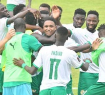 Can - Situation Covid dans la Tanière : Aucun cas positif pour les Lions