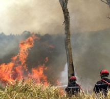 Matam / Dans la zone sylvo-pastorale, un feu de brousse avait vidé les bureaux de vote