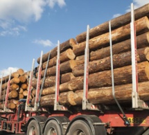 Saisie de 77 camions transportant du bois ,disparition de militaires : Le Gouvernement doit-il sévir contre une rébellion qui se braque encore !
