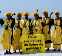 Impact de l’industrie de l’alimentation à base de poisson : Greenpeace Afrique salue le rapport de la FAO sur les impacts socio-économiques et biologiques