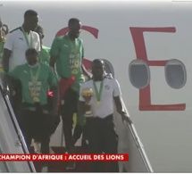 Direct Cameroun les lions dans l'avion pour amener la coupe d'Afrique aux Sénégalais