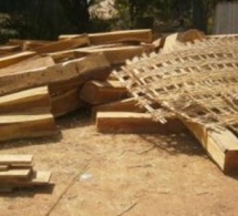 Trafic de bois à Kédougou : Une importante quantité de planches et de troncs saisis