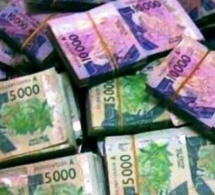 Primes des Lions / Trésor public : Des sacs d’argent pour payer les champions d’Afrique en Cash