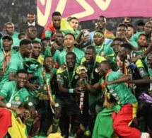 Récompense des Lions : Les terrains de 200 m2 se situent à...