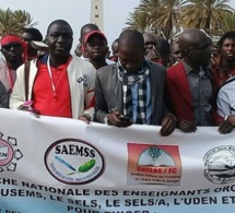 Marche interdite à Ziguinchor : Le Cusems et le Saems se plient, mais...