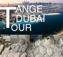 URGENT: Tange fait des révélations et démontre l'innovation du marché de poisson de Dubai. Regardez