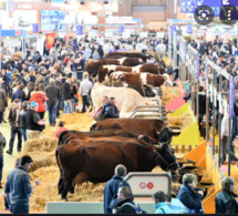 Salon international de l’Agriculture de Paris : Une présence timide du Sénégal, constatée