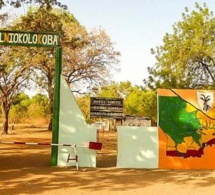 L'adjoint au chef du Parc de Niokolo Koba sous mandat de dépôt
