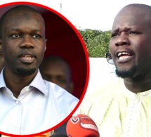 Affaire Adji Sarr : Massaly met à nu Ousmane Sonko  » il doit avoir le courage d’assumer… » Et recadre And Sam djiiko yii