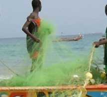 8 MARS-Un fonds mis en place par la Caps pour accompagner les femmes du secteur de la pêche